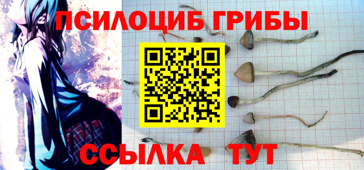 Галлюциногенные грибы мицелий Мичуринск