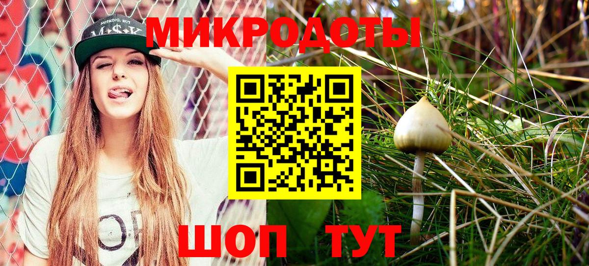 Псилоцибиновые грибы Psilocybe  где продают наркотики  Мичуринск  Вход с VPN 